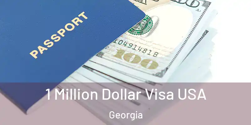 1 Million Dollar Visa USA Georgia